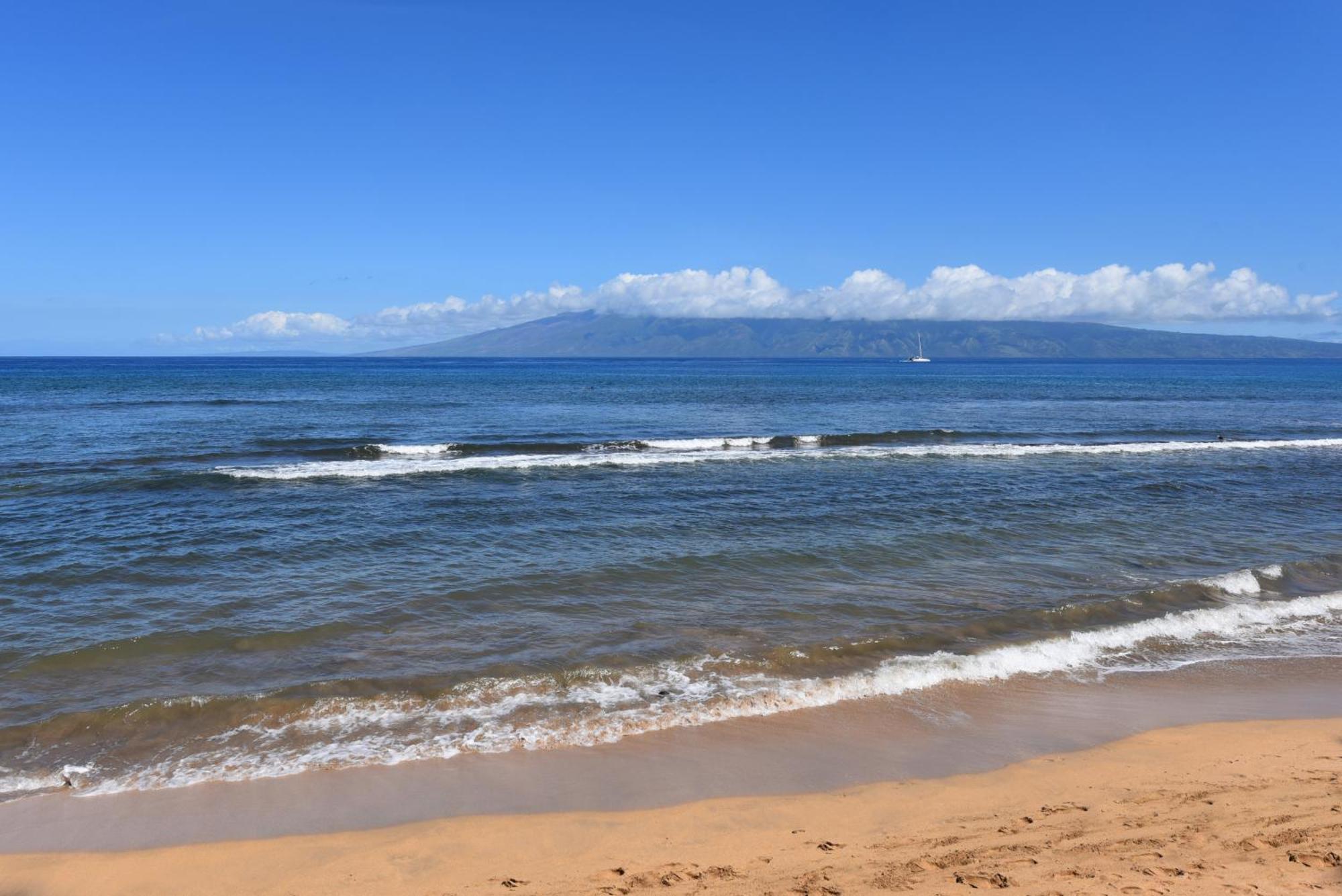 Kaanapali Shores 160 - Sleep Steps Away From The Ocean Kahana Ngoại thất bức ảnh