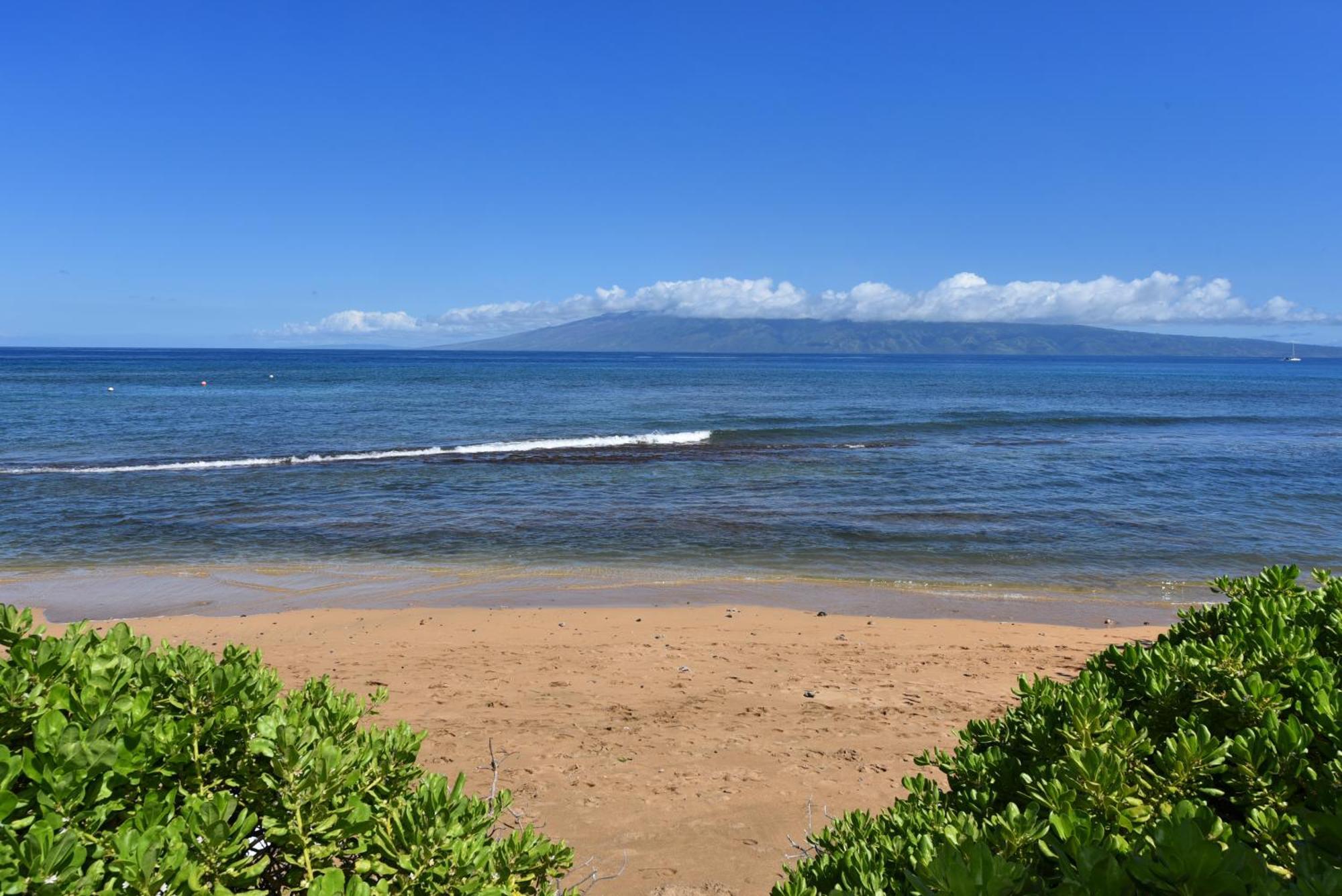 Kaanapali Shores 160 - Sleep Steps Away From The Ocean Kahana Ngoại thất bức ảnh